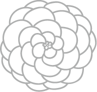 Asset 16 - PNG
