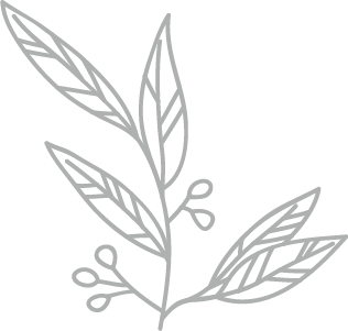 Asset 25 - PNG